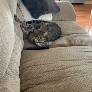 Meet your Posher, Thomas